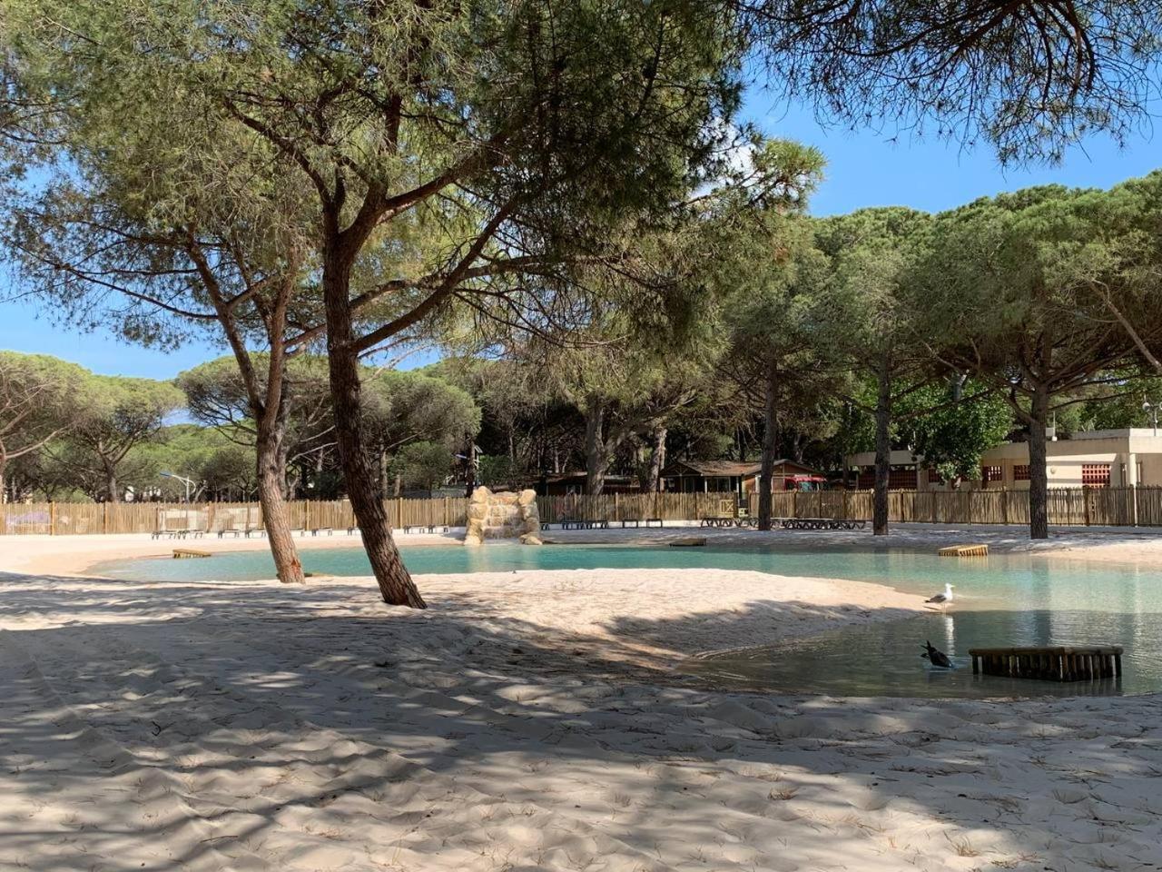 Camping La Tamarissiere Агде Екстериор снимка